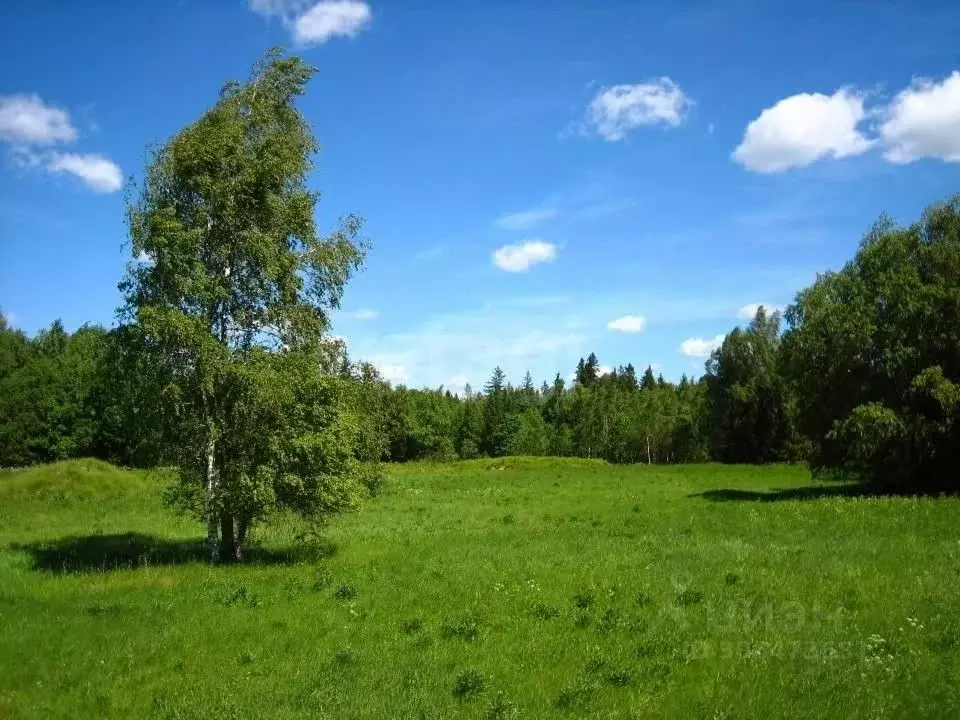 Участок в Московская область, Клин городской округ, Эколуга ТСН 167влА ... - Фото 1