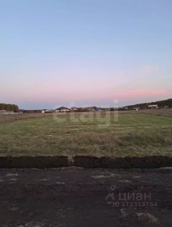 Участок в Омская область, Омский район, с. Усть-Заостровка ул. ... - Фото 1