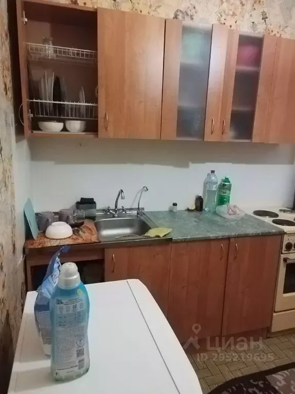 1-к кв. Алтайский край, Барнаул тракт Павловский, 267/103 (35.0 м) - Фото 1