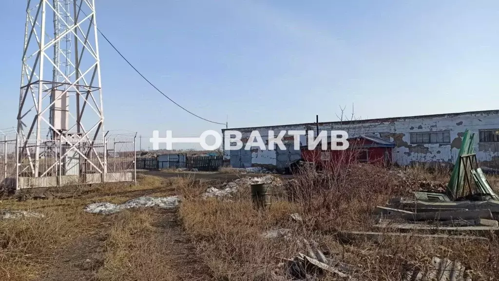 Производственное помещение в Новосибирская область, Купино ул. Карла ... - Фото 1