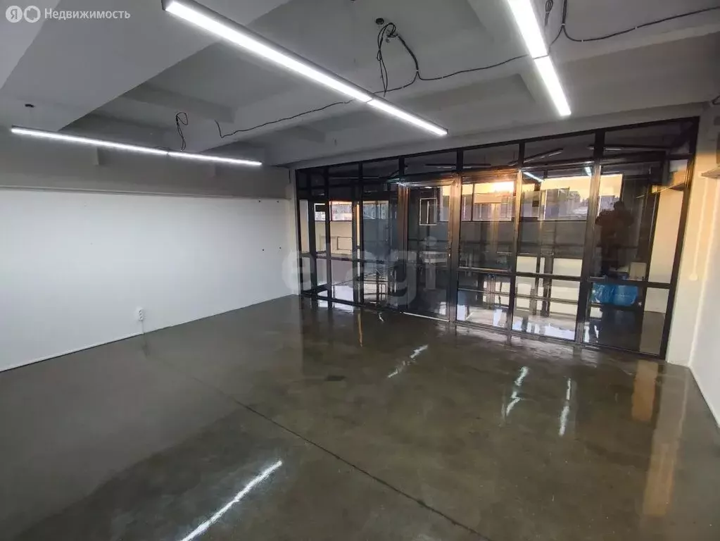 Помещение свободного назначения (31.9 м) - Фото 2