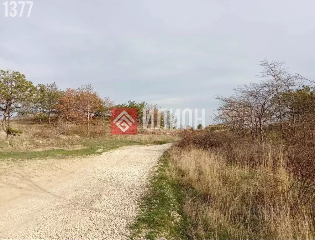 Участок в Крым, Феодосия муниципальный округ, Рассвет-2 СПК  (9.0 ... - Фото 2