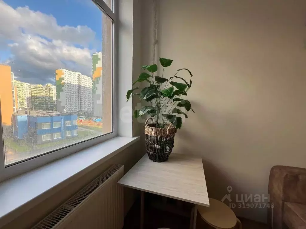 Студия Ленинградская область, Мурино Всеволожский район, просп. ... - Фото 0