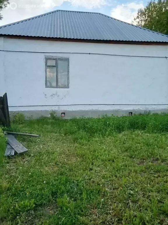 Дом в деревня Старые Урмары, переулок Чапаева, 22 (47 м) - Фото 1
