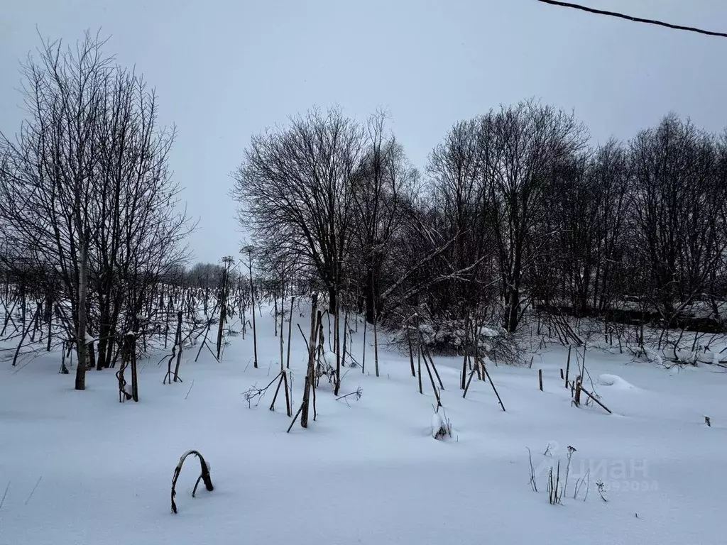 Участок в Московская область, Солнечногорск городской округ, д. ... - Фото 2