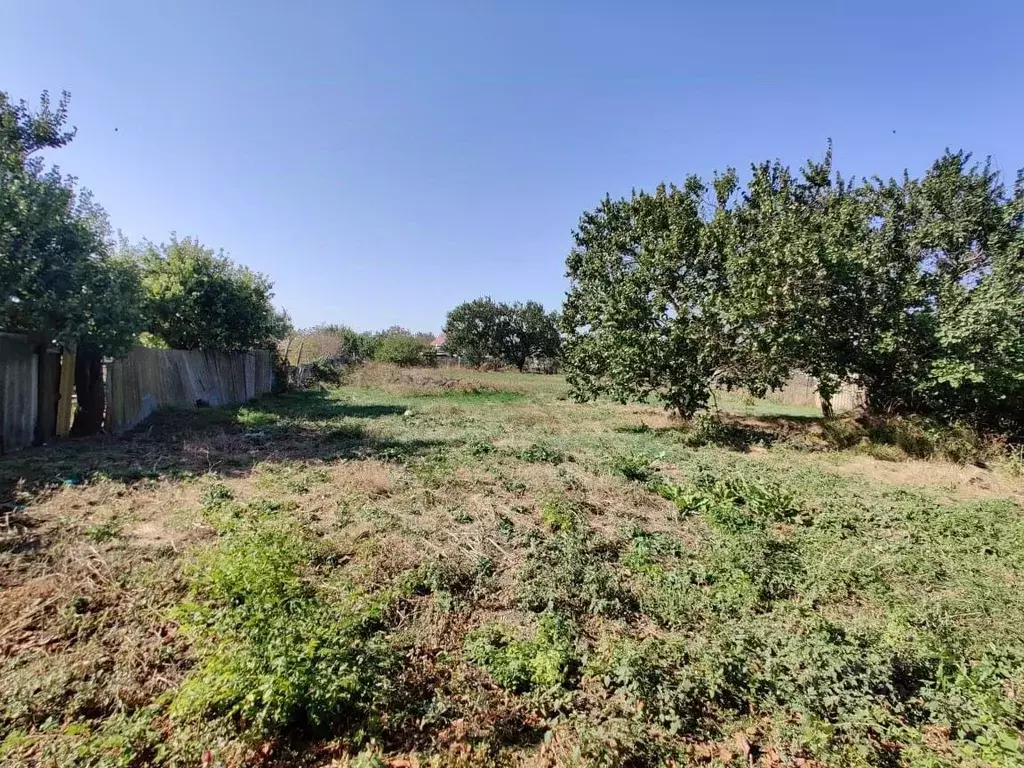 Дом в Краснодарский край, Ейский район, Должанская ст-ца Коллективная ... - Фото 1