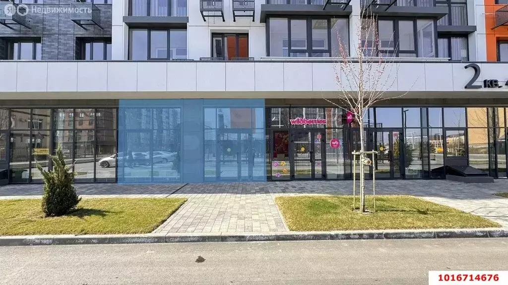 Торговая площадь (45.5 м) - Фото 1