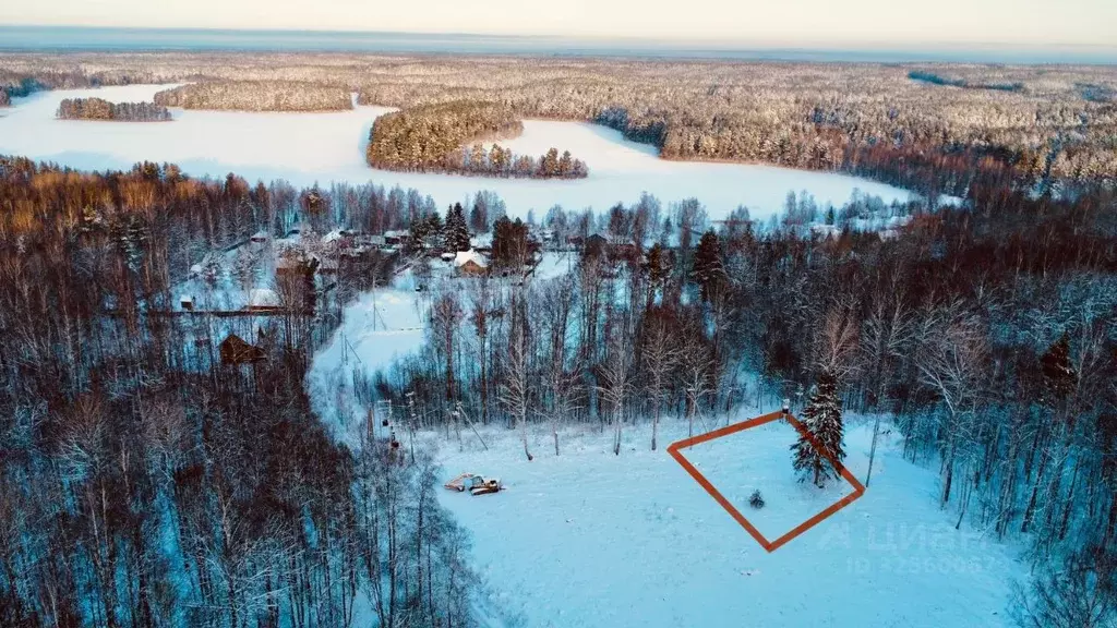 Участок в Ленинградская область, Приозерский район, Мичуринское с/пос  ... - Фото 2