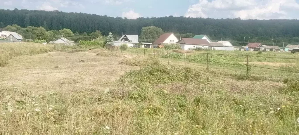 Участок в Пензенская область, Пензенский район, Воскресеновский ... - Фото 2