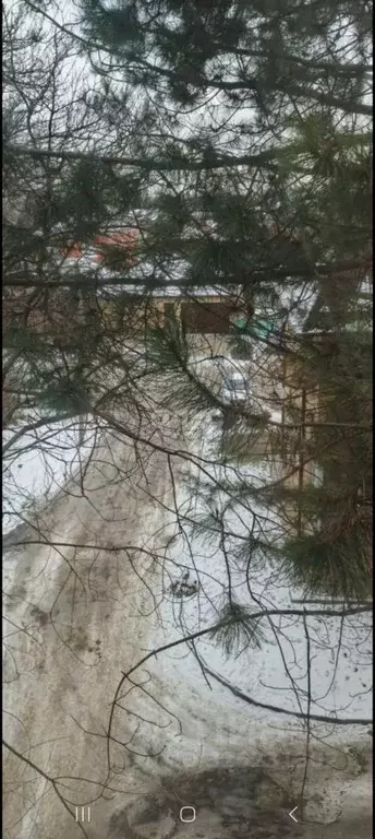 Комната Краснодарский край, Армавир ул. Матвеева (18.0 м) - Фото 2