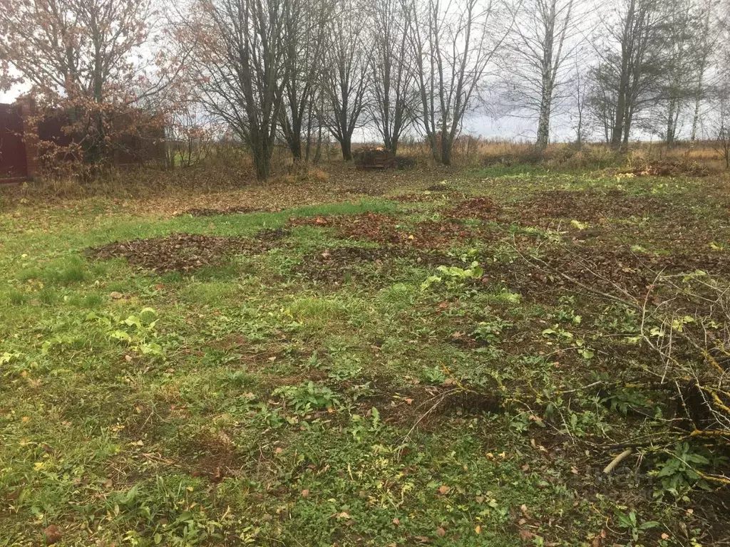 Участок в Московская область, Пушкинский городской округ, д. Талицы  ... - Фото 2