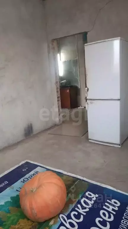 Дом в Амурская область, Благовещенск Красноармейская ул., 232 (60 м) - Фото 1