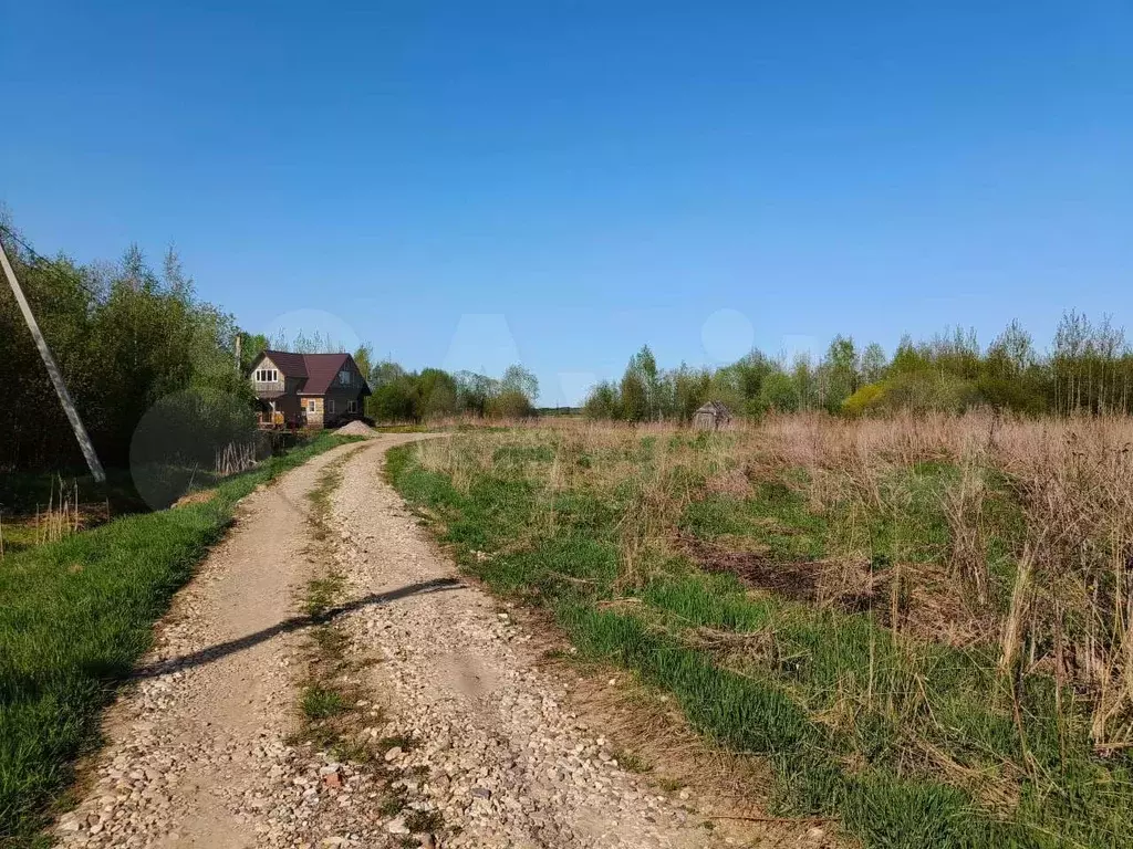 Дьяковская Поляна в Вологодской области