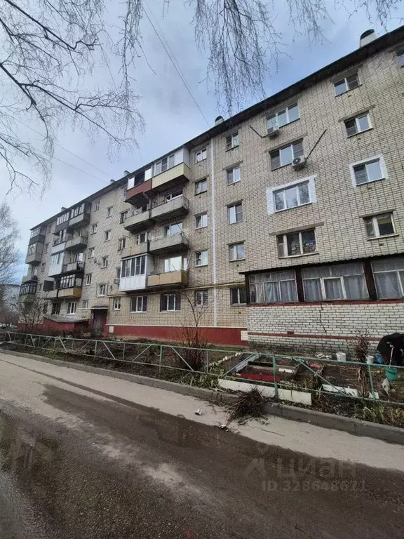 1-к кв. Нижегородская область, Кстово Зеленая ул., 10Б (20.8 м) - Фото 1