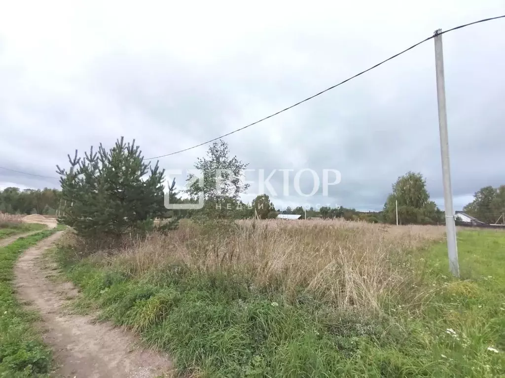 Участок в Костромская область, Судиславский район, Расловское с/пос, ... - Фото 2