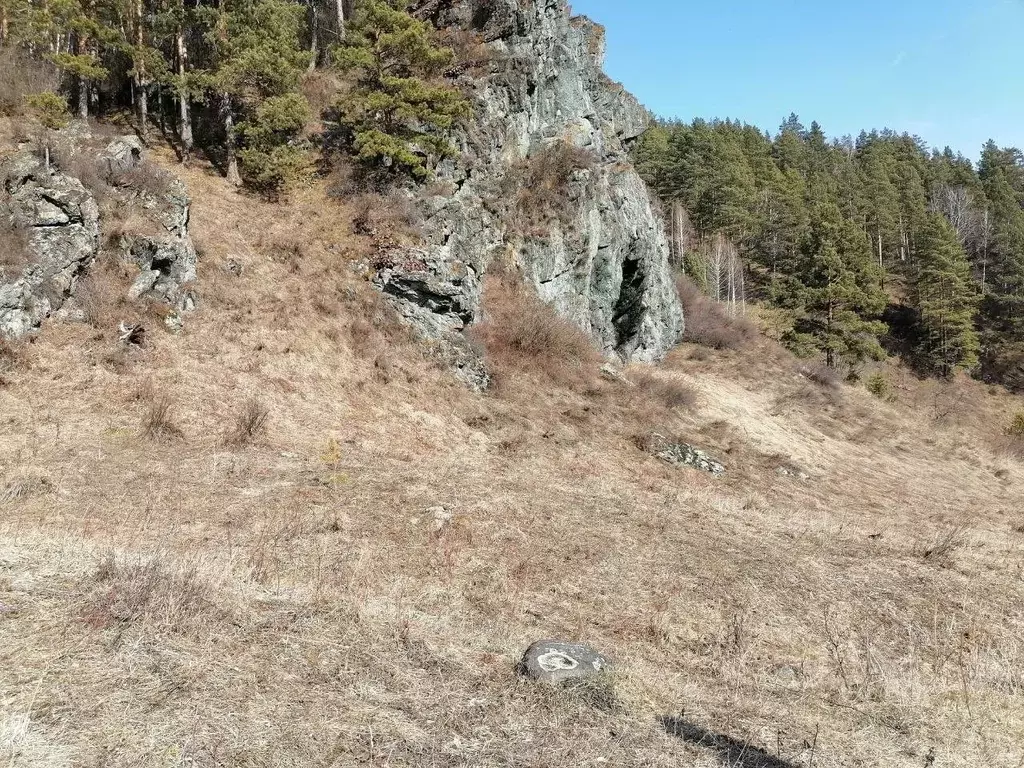 Участок в Алтай, Майминский район, с. Усть-Муны ул. Кошурникова (15.0 ... - Фото 1