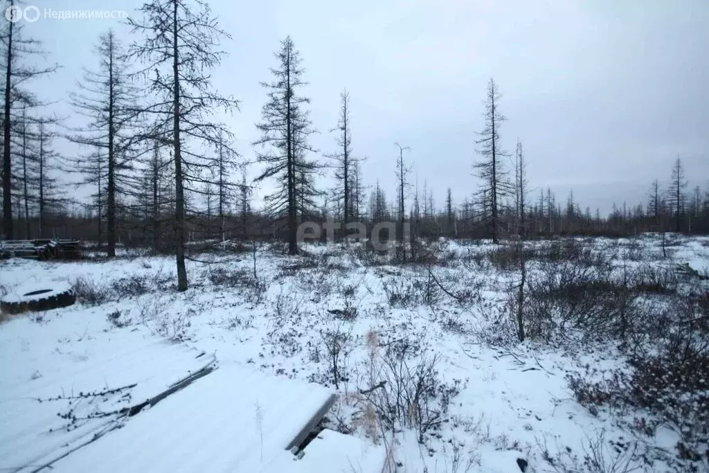 Участок в Новый Уренгой, район Северная Жилая Часть (6.7 м) - Фото 0