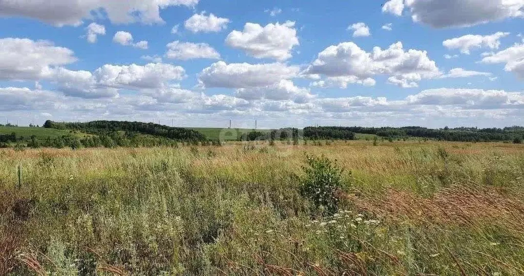 Участок в Липецкая область, Липецкий муниципальный округ, д. Ясная ... - Фото 0