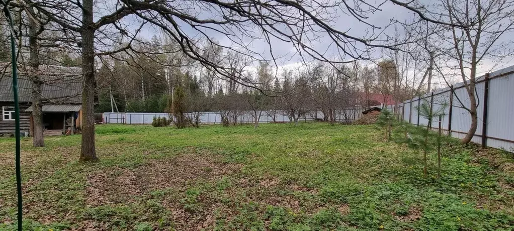 Участок в Московская область, Дмитровский муниципальный округ, ... - Фото 1