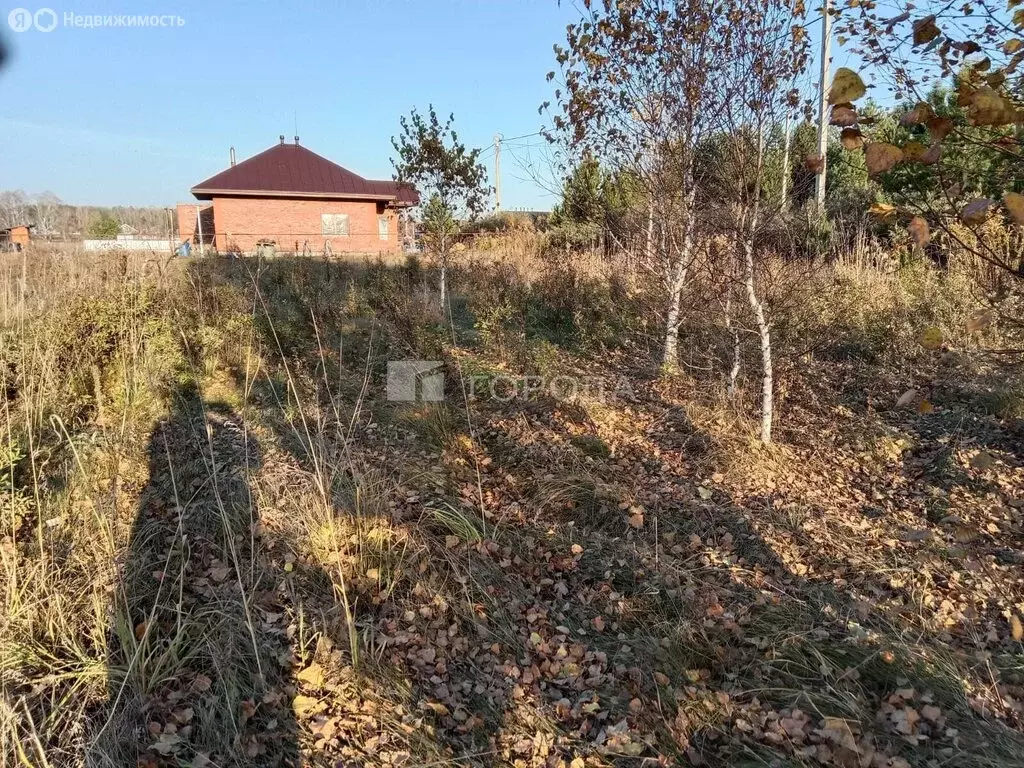 Участок в село Фирсово, микрорайон Рощино, Молодёжная улица, 53 (11.87 ... - Фото 0