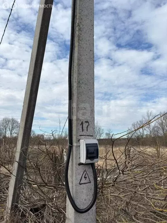 Участок в Тульская область, городской округ Тула, деревня Ивановка (10 ... - Фото 1
