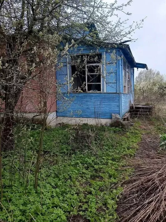 3-к кв. Ярославская область, Некрасовский муниципальный округ, с. ... - Фото 1