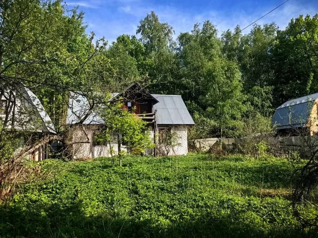 Участок в Московская область, Богородский городской округ, Березка СНТ ... - Фото 1