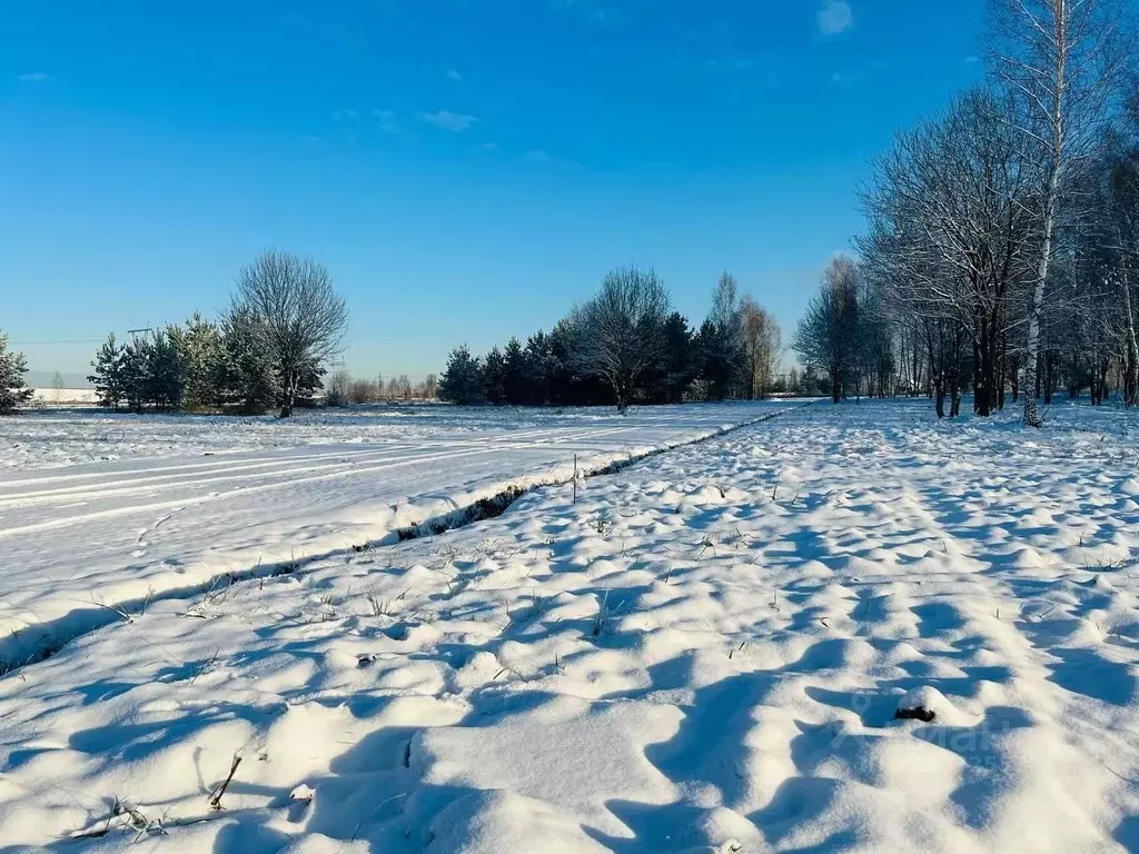 Участок в Московская область, Дмитровский муниципальный округ, Ерыково ... - Фото 1