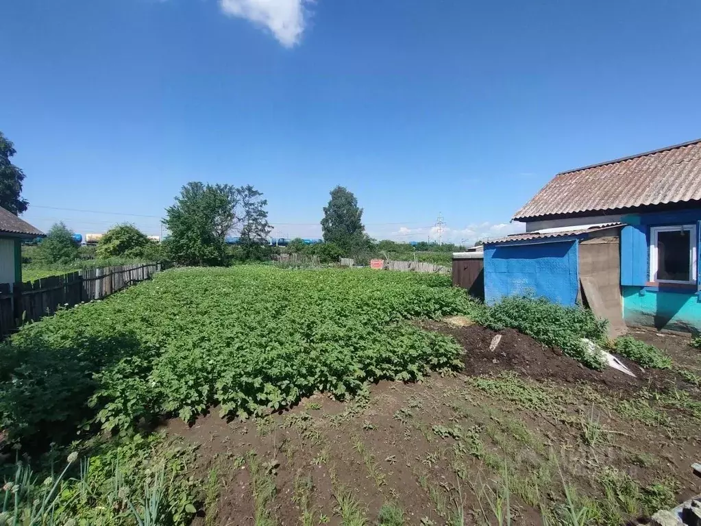 Дом в Хакасия, Черногорск  (20 м) - Фото 1