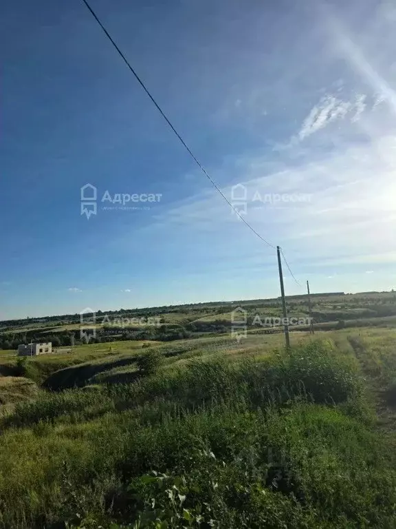 Участок в Волгоградская область, Городище рп, Дубок СНТ  (6.0 сот.) - Фото 1