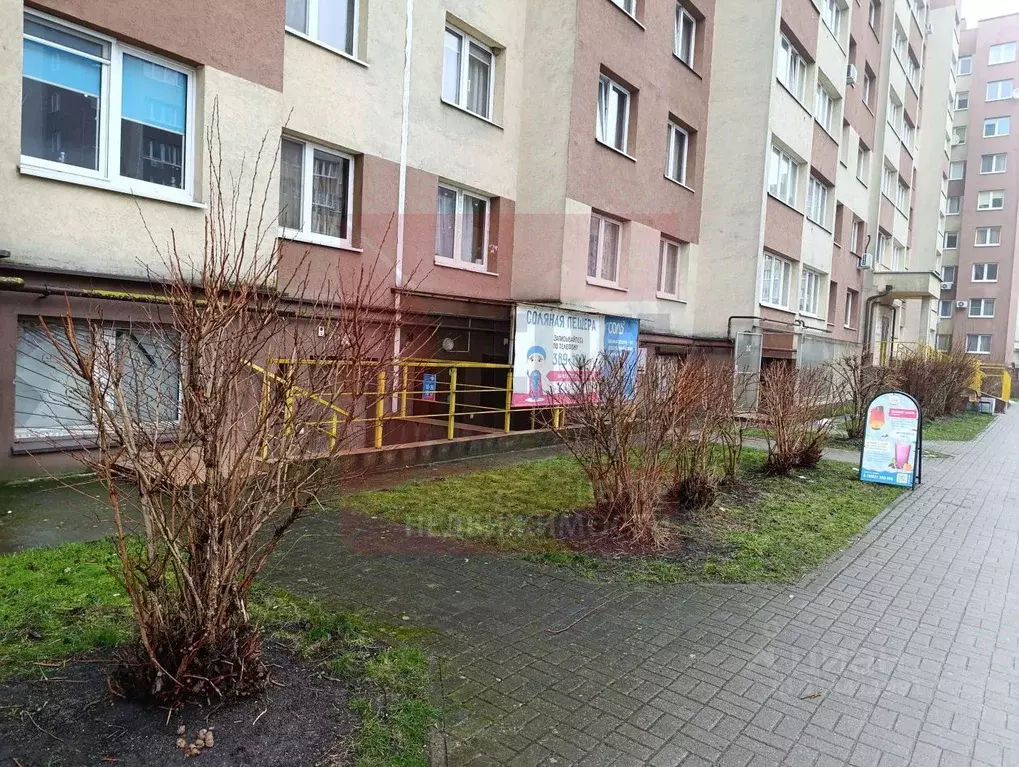 Помещение свободного назначения в Калининградская область, Калининград ... - Фото 2