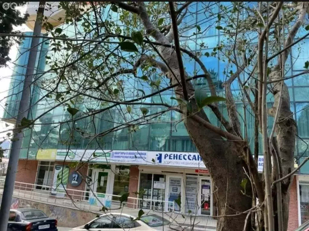 Офис (75 м) - Фото 2