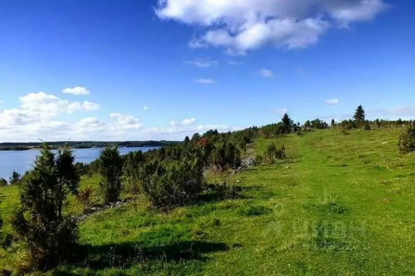 Поселок толвуя карелия. Карелия толвуя храм георгия победоносца (толвуя). Деревня толвуя медвежьегорский район. Климат карелии. Погода в толвуе карелия на неделю.