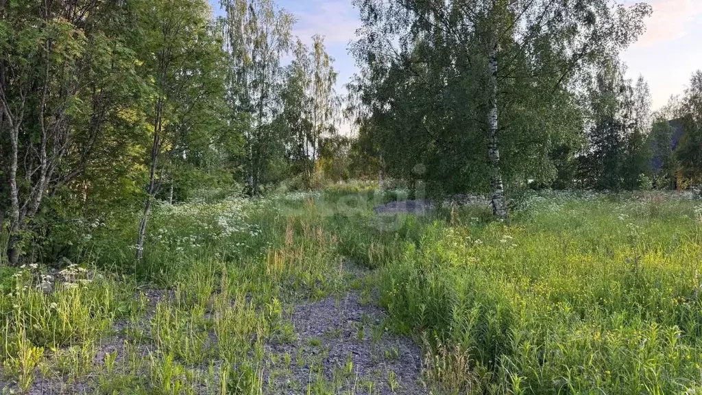 Участок в Карелия, Кондопожский район, Петровское с/пос, д. Мунозеро  ... - Фото 0