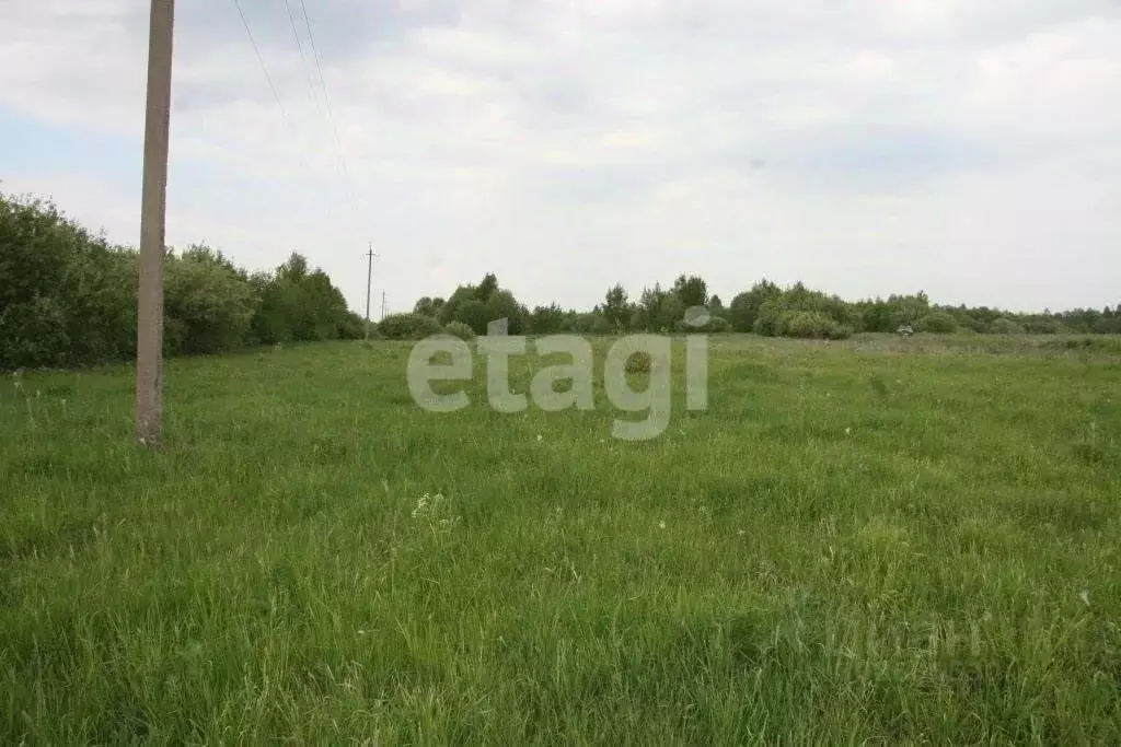 Участок в Костромская область, Костромской район, Сандогорское с/пос, ... - Фото 1