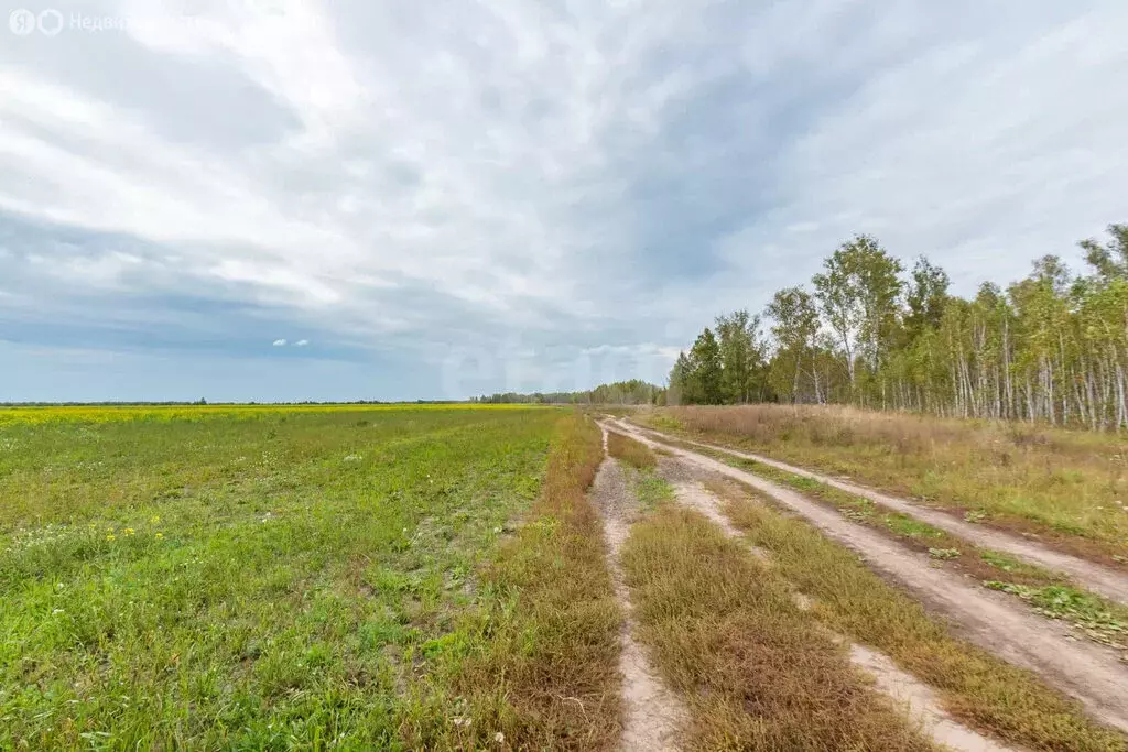 Участок в Красноярка, улица Красный Маяк (1019 м) - Фото 0