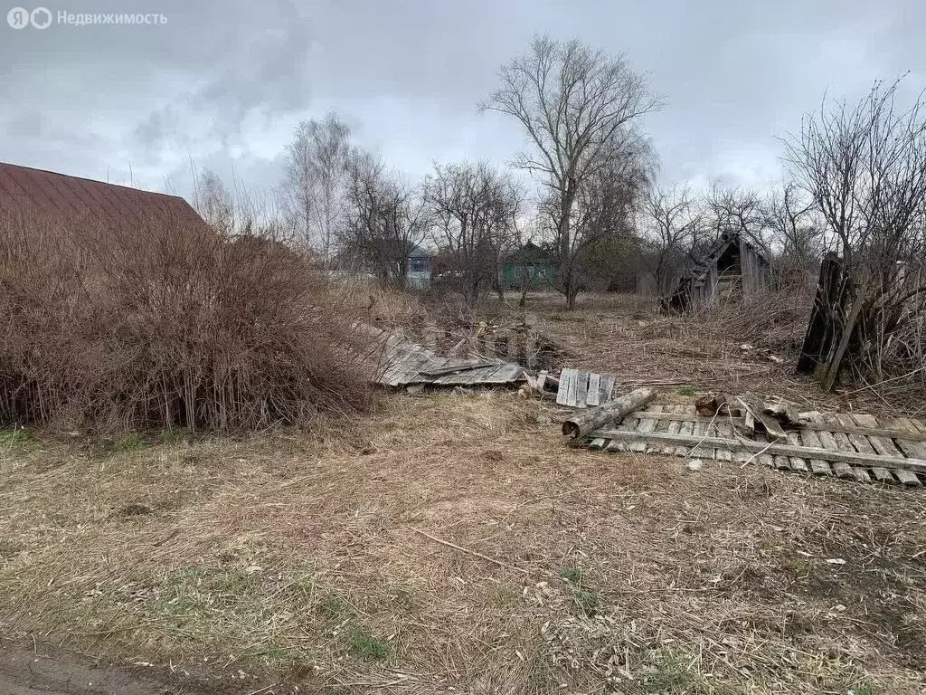 Участок в Владимирская область, Меленковский муниципальный округ, село ... - Фото 1