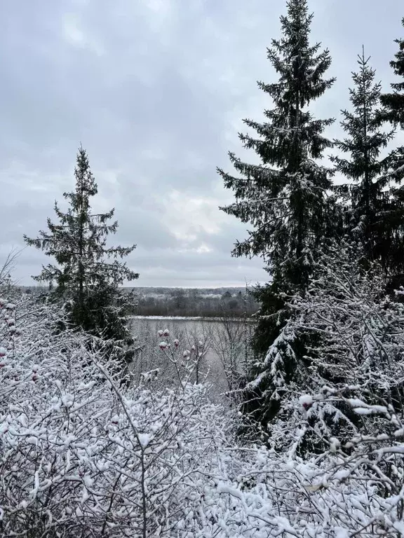 Участок в Кировская область, Слободской район, Шиховское с/пос, д. ... - Фото 0