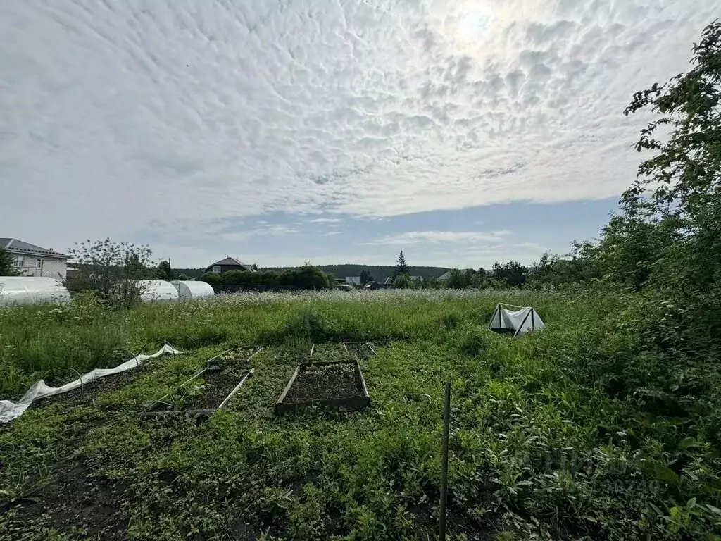 Участок в Свердловская область, Сысертский городской округ, с. Кашино ... - Фото 0