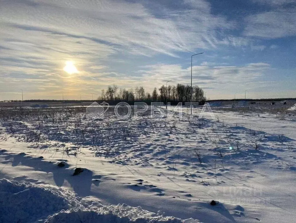 Участок в Тюменская область, Тюменский муниципальный округ, д. ... - Фото 2