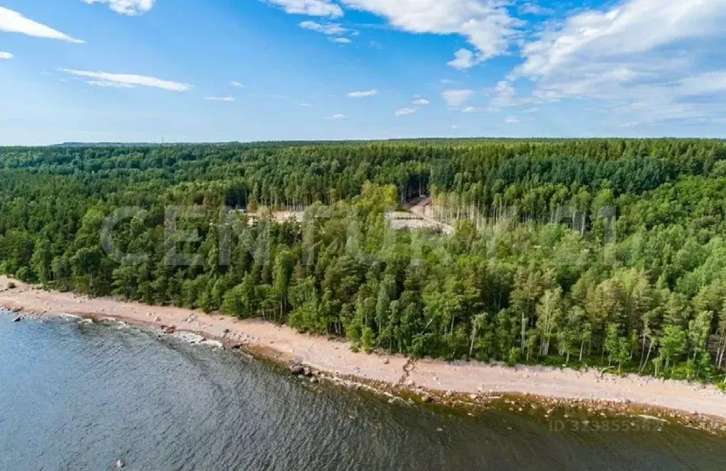 Помещение свободного назначения в Ленинградская область, Всеволожский ... - Фото 1