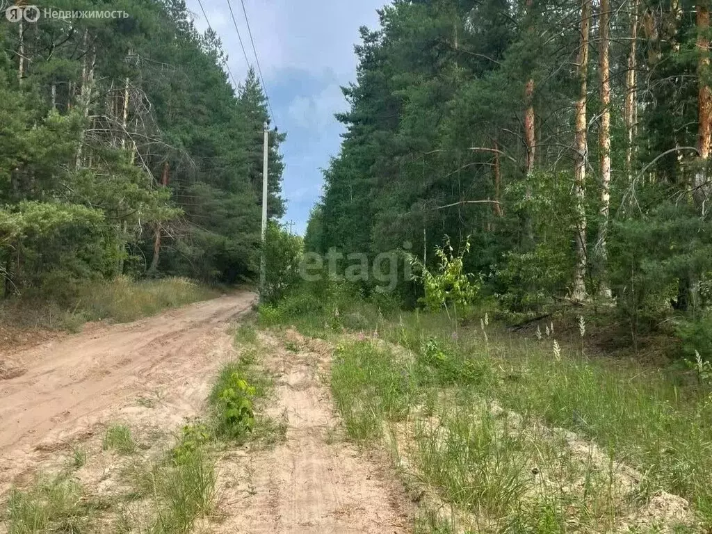 Участок в Тамбовский муниципальный округ, СНТ Луговое (15 м) - Фото 1