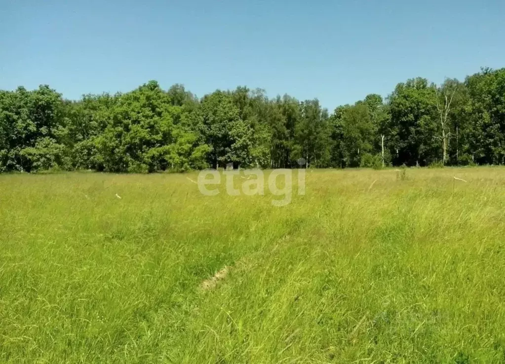 Участок в Пермский край, Добрянка Крутая Гора-2 мкр,  (15.0 сот.) - Фото 1