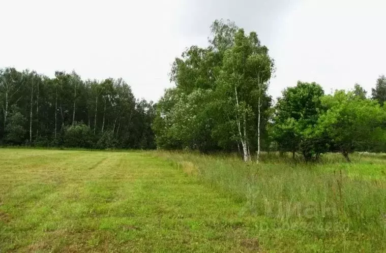 Участок в Тульская область, Заокский район, Заокский рп ул. Ключевая ... - Фото 0