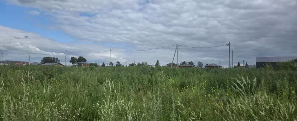 Участок в Московская область, Пушкинский городской округ, д. Березняки ... - Фото 1