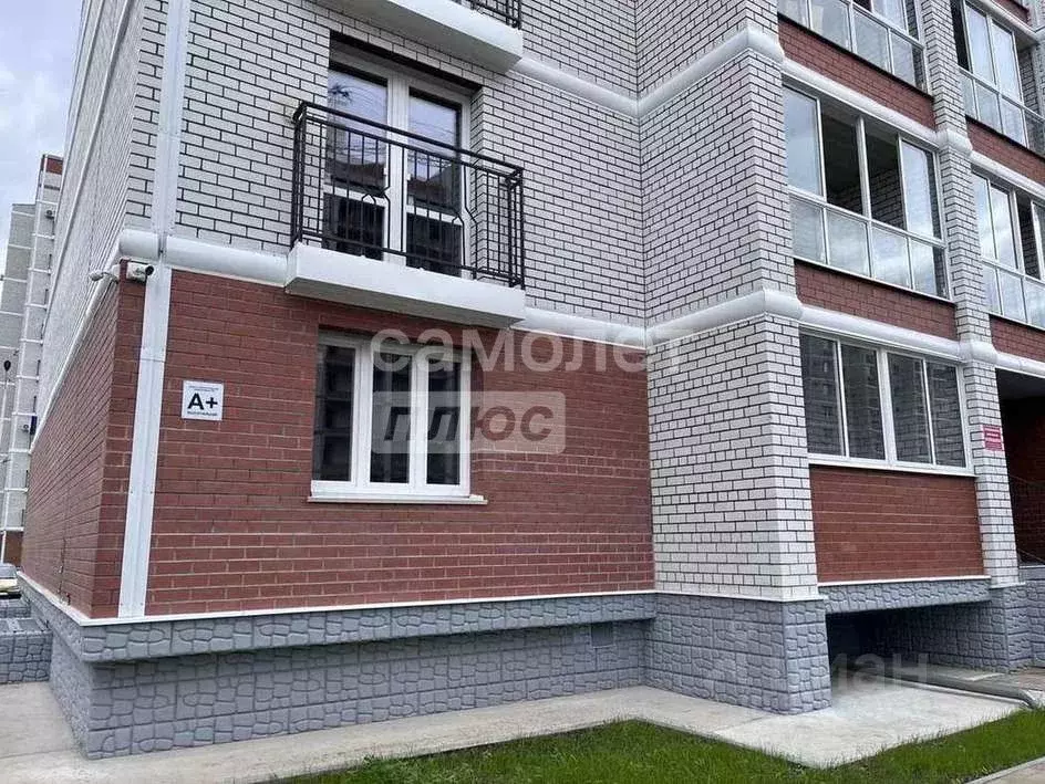 1-к кв. Амурская область, Благовещенский район, с. Чигири ул. ... - Фото 1