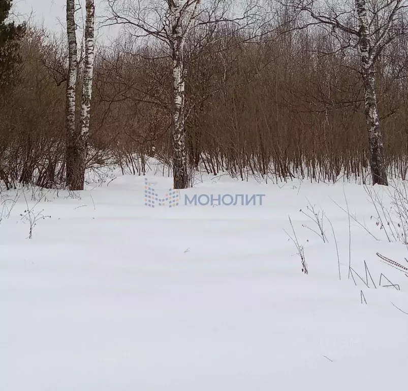Участок в Нижегородская область, Богородский муниципальный округ, д. ... - Фото 2