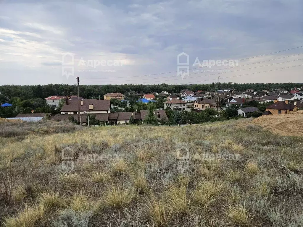 Участок в Волгоградская область, Среднеахтубинский район, Ахтубинское ... - Фото 2