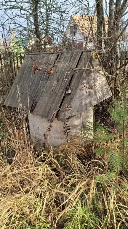 Участок в Ленинградская область, Лужский район, Мшинское с/пос, ... - Фото 2