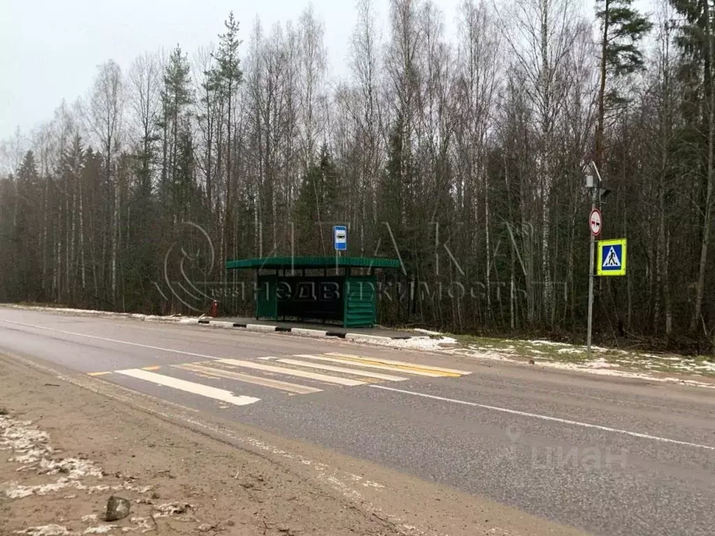 Участок в Ленинградская область, Лодейнопольский район, Алеховщинское ... - Фото 1